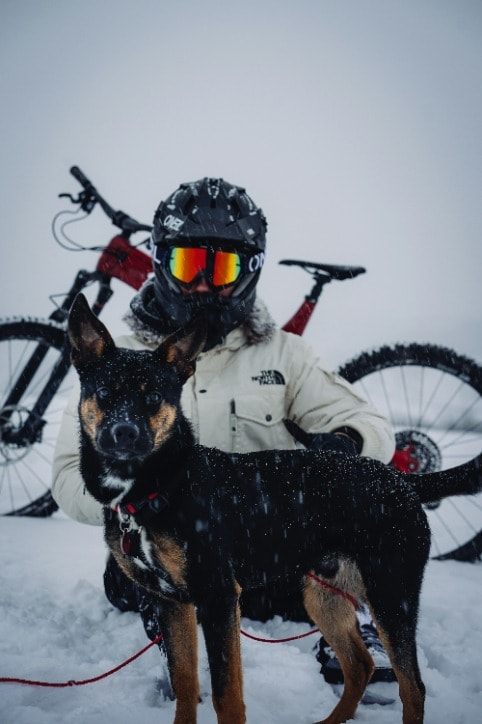 Dog