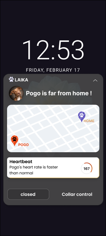 Get Update Interface