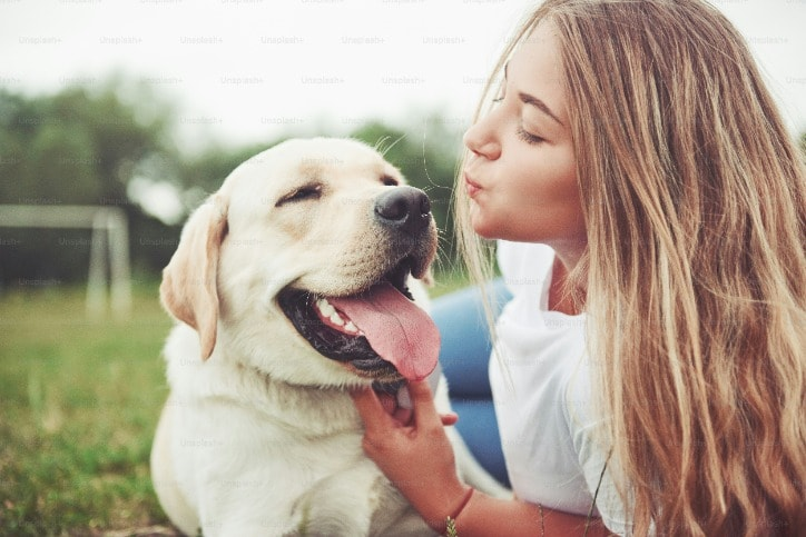 Dog