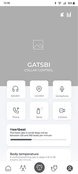 App Interface