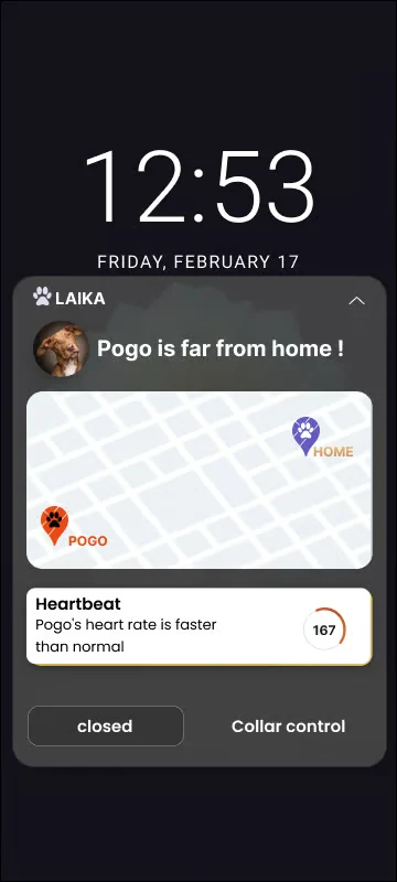 LAIKA missing-dog notification design with a location map.