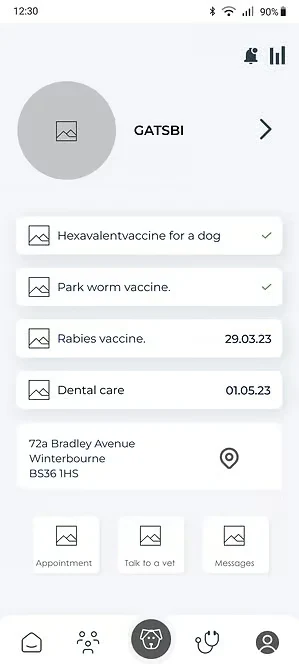 LAIKA medical record wireframe for tests and vaccinations.